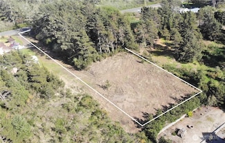 605 Claymore Ln, Cohassett Beach, WA 98595