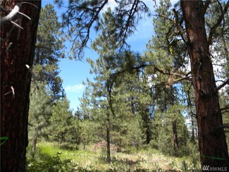 173 Black Jack Rd N, Winthrop, WA 98862