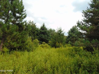 lot 1 Pennsylvania 390, Barrett Township, PA