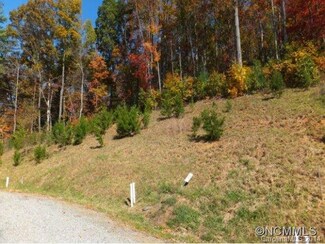 49 Franklin Trace Dr Unit 21, Asheville, NC 28804