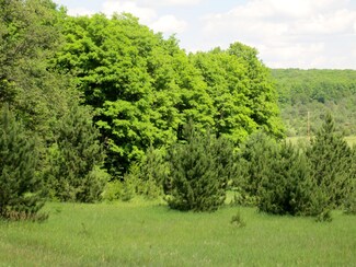 0 S Straits Hwy Unit (20.9 Acres) 324809, Vanderbilt, MI 49795