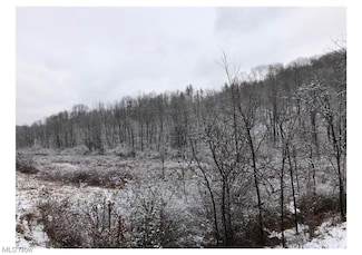 0 Salt Run Rd Unit 5020333, Caldwell, OH 43724