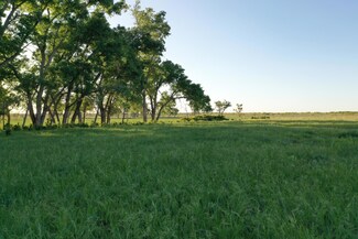 0 County Road Aa, Turkey, TX 79261