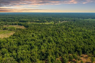 XXXX Watermill Rd, Monticello, FL 32344