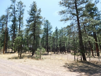17 N2326, Alpine, AZ 85920