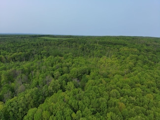 0 Lynch Rd Unit 24758516, Newport, NY 13416