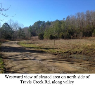 #95-12 Travis Creek Rd, Foxtown, KY 40447