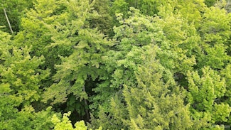 tbd Donken-Tapiola Rd, Toivola, MI 49965
