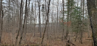 Tract 3 Ticonderoga Trail, Hackensack, MN 56452