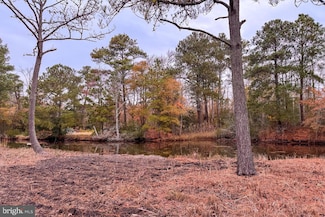 Lot 685 Bradley Ln, Chincoteague, VA 23336