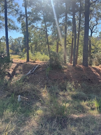 Lot 97 Kaelepulu Dr, Bastrop, TX 78602