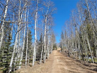 0 Camelot Dr, Hartsel, CO 80449