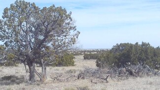 Lot 259 Elk Valley Ranch Unit CR N6485, St. Johns, AZ 85936