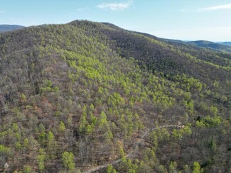 4500 Fox Mountain Rd, Crozet, VA 22932