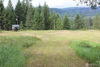 2514 Bridgeman Rettinger Rd, Kettle Falls, WA 99141