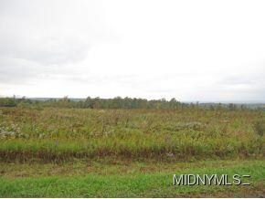 0 25 3 Ac Thompson Rd Unit 1203445, Middleville, NY 13406