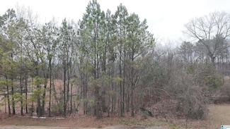 114 Melbourne Cir Unit 330, Bessemer, AL 35022
