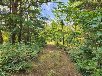 Par 1 Wilderness Trail, Peacock Township, MI 49656