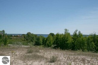 42 S Maple Bluffs Ct Unit 42, Suttons Bay, MI 49682