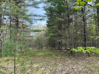 0 Critter Trail Unit Parcel C, Filer Charter Township, MI 49660