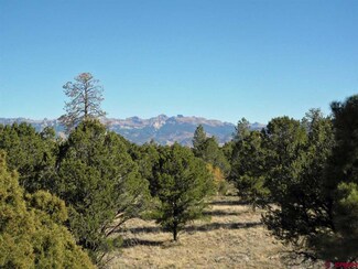 205 Fisher Canyon Dr, Ridgway, CO 81432