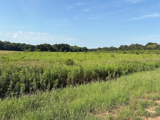 0 Judge Logue Rd, Wicksburg, AL 36352