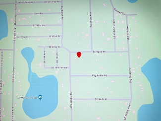 Undetermin SE 92nd Place, Ocklawaha, FL 32179
