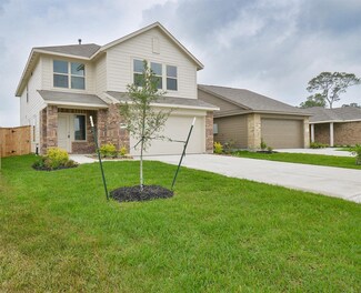 18566 Cepagatti Dr, New Caney, TX 77357