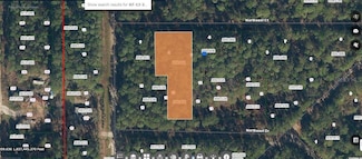 103 Paradise Lakes Unit 1 Ct, Georgetown, FL 32139