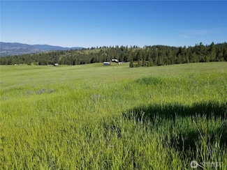 49 Old Ranch House Rd, Republic, WA 99166
