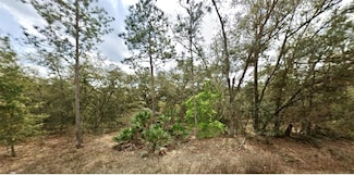 109 Dottie St, Interlachen, FL 32148
