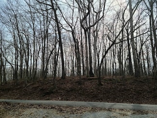 0 Horseshoe Bend Rd Unit RTC2539575, Leoma, TN 38468