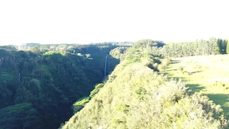 0 Kaiwiki-Homestead Rd Unit 723585, Hakalau, HI 96710