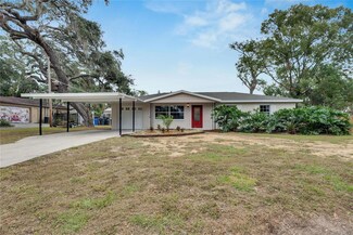 105 Phillips Dr, Seffner, FL 33584