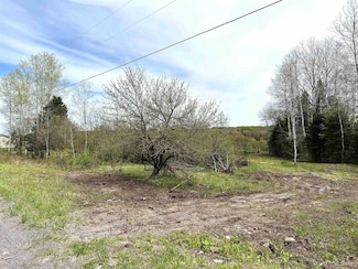 TBD Lower Worham Rd, Chassell, MI 49916