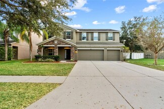 1521 Rhodeswell Ln, Dover, FL 33527