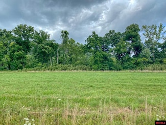 Lot 4 Trout Water Dr, Norfork, AR 72658