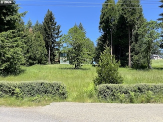 0 Westoak Rd Unit 24525533, Oakridge, OR 97463