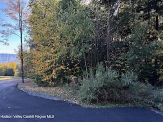 Tbd Hollow View Rd, Windham, NY 12496
