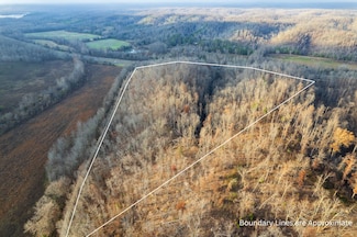 0 Hellsneck Ln Unit 25649761, Waverly, TN 37185