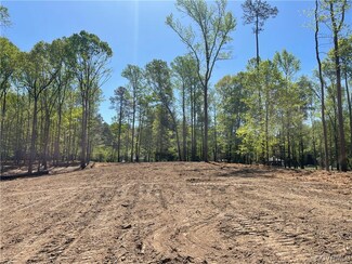 Lot 2 New Kent Hwy, Quinton, VA 23141
