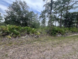 901 Laguna Dr, Indian Lake Estates, FL 33843