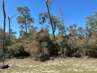 0 SW 175th Loop Unit MFROM699678, Ocala, FL 34473