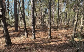 0 Tbd 14th Trail Unit 122489, Live Oak, FL 32060