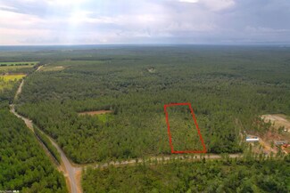 0 Goat Cooper Rd Unit 351149, Elsanor, AL 36567
