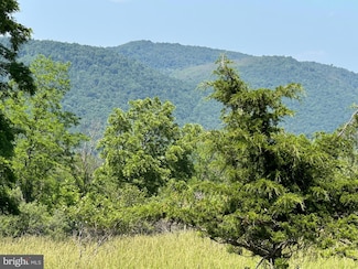 250 +/- acs Off Us Hwy 48, Moorefield, WV 26836