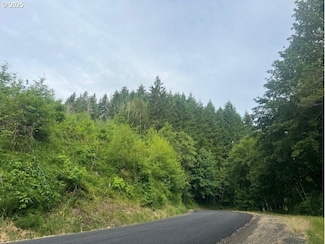 0 Northrup Creek Rd Unit 685973355, Birkenfeld, OR 97016