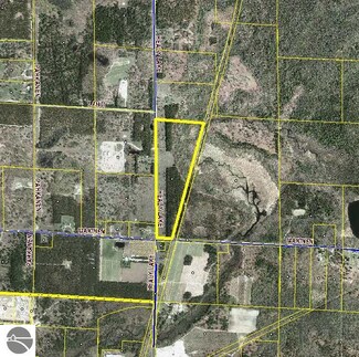 37AC Healy Lake Rd, Kaleva, MI 49645