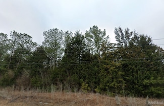 0 County Road 131, Boligee, AL 36278