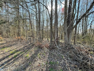 5803 Lowell Rd, Archdale, NC 27263